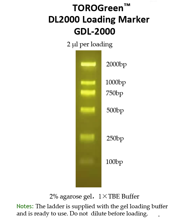 TOROGreen ™ DL2000 Loading Marker