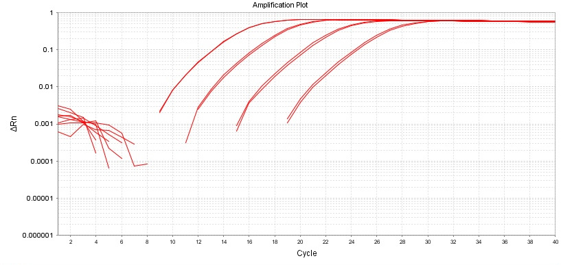 SYBR Green qRT-PCR Master Mix