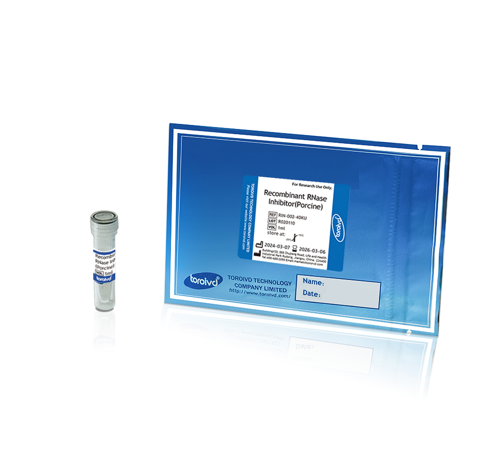 Recombinant RNase Inhibitor（Porcine）